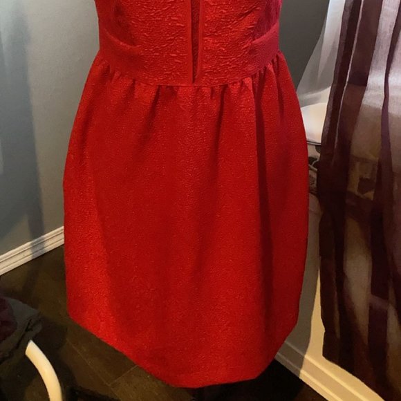 Women's  Dress - Picture 4 of 4